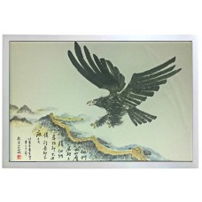 鹰击长空 （eager )